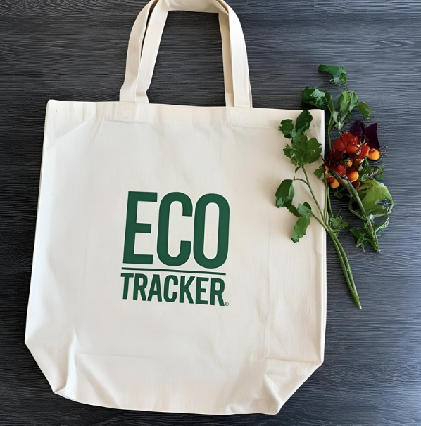 Reusable Shopping Bag