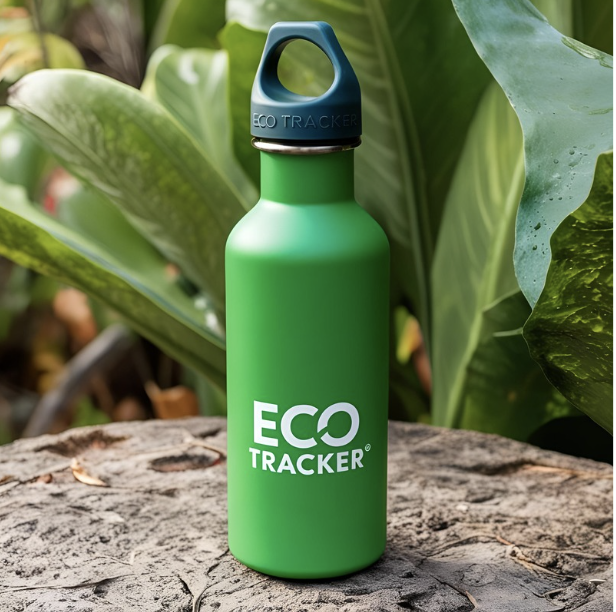 Reusable Water Bottle